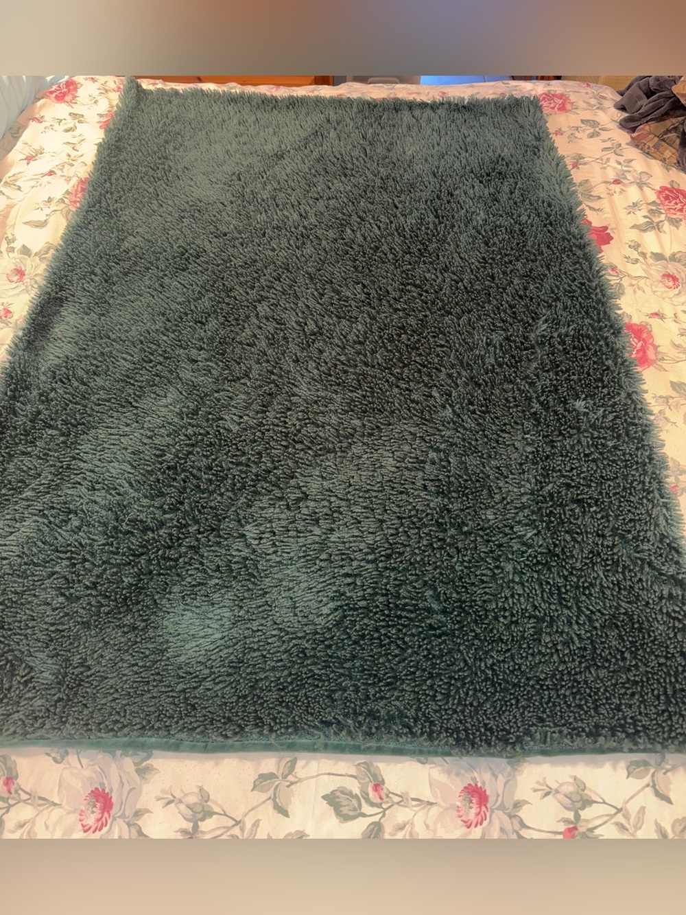 Pottery Barn Teen Ultra Plush/Shaggy Throw Blanket in Forest Green